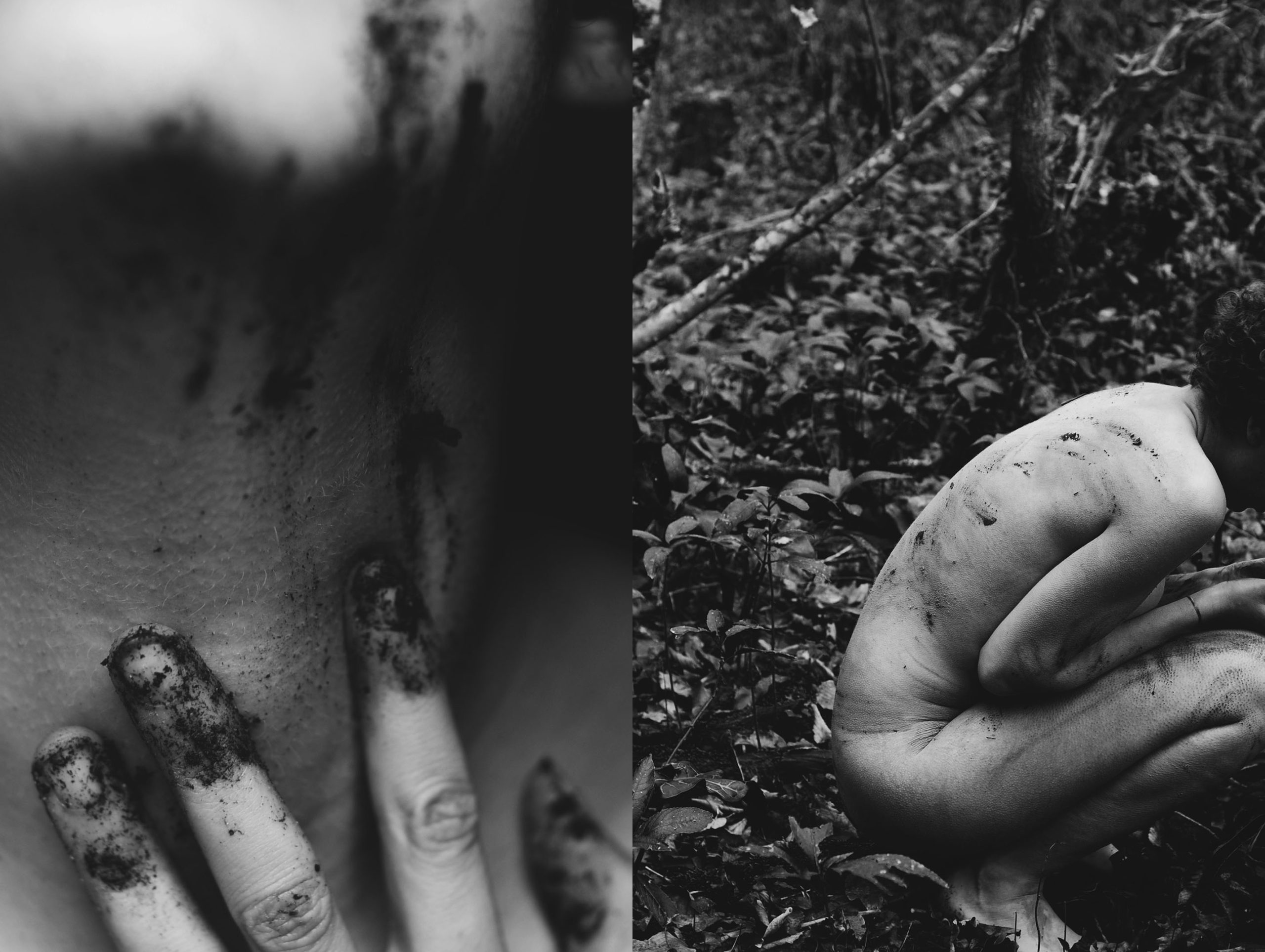 L’enfant sauvage, 2013.