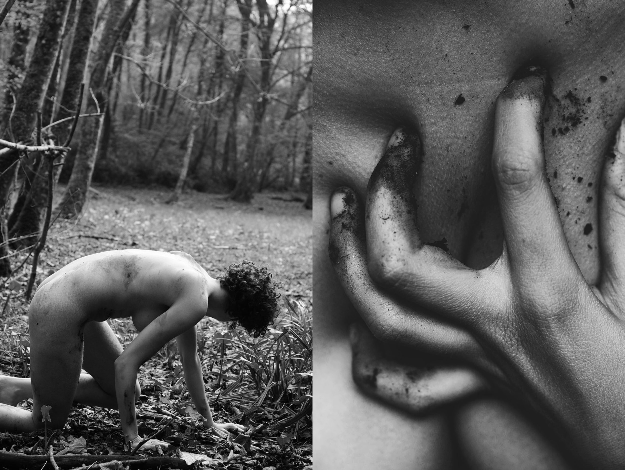 L’enfant sauvage, 2013.