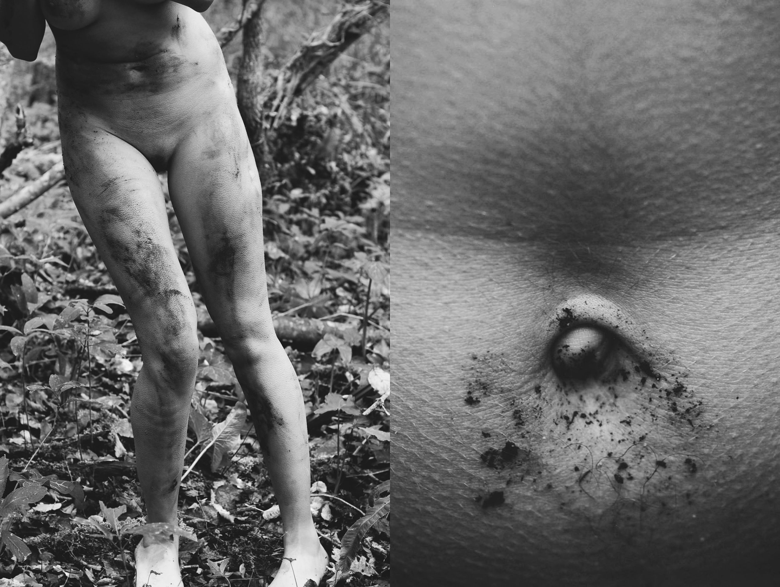 L’enfant sauvage, 2013.