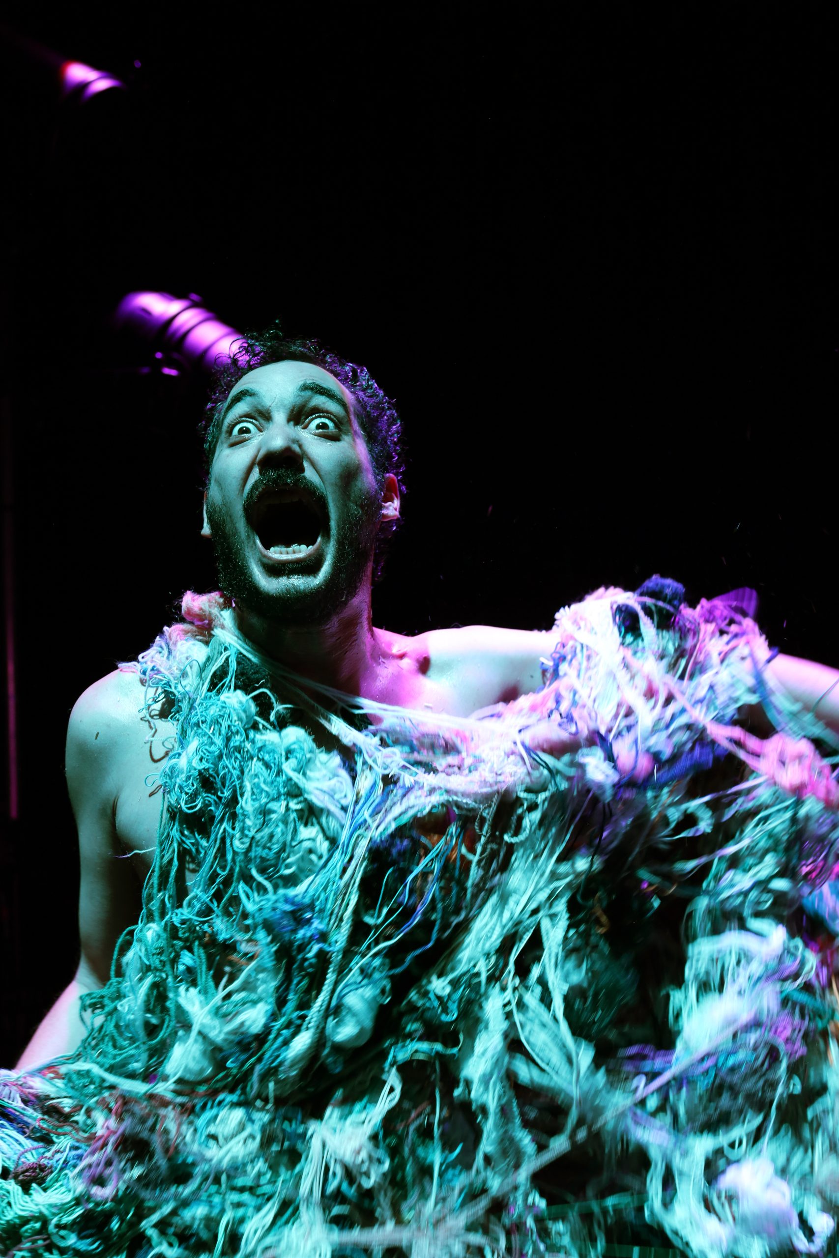 « Specimen » de Yacine Sif El Islam.